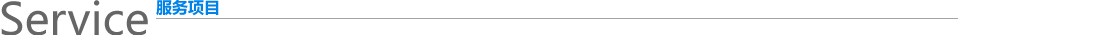 服务项目